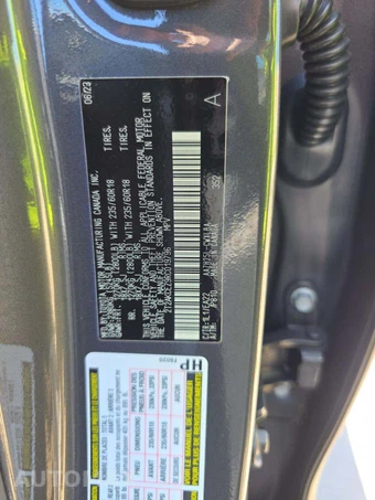 2024 Lexus NX 350h – miniatura 2