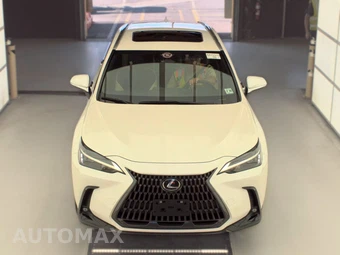 2024 Lexus NX 350h - miniatura 2