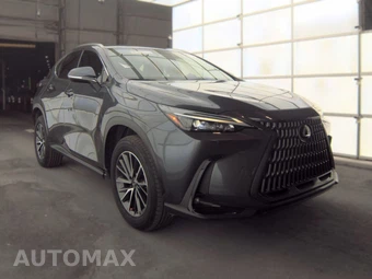 2024 Lexus NX 350h – miniatura 3