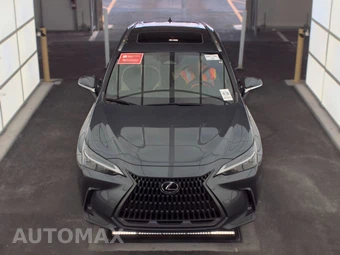 2024 Lexus NX 350h – miniatura 2