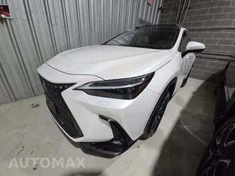 2024 Lexus NX 350h Luxury