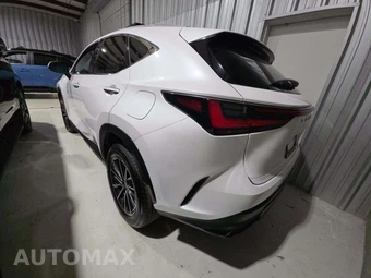 2024 Lexus NX 350h Luxury - miniatura 2