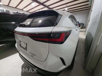 2024 Lexus NX 350h Luxury - miniatura 3