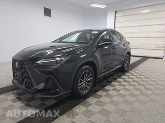 2024 Lexus NX 350h Luxury