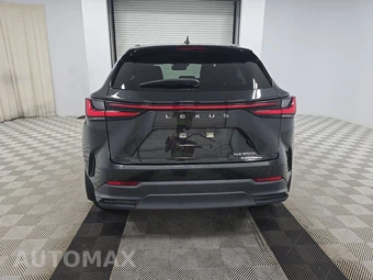 2024 Lexus NX 350h Luxury - miniatura 5