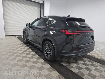 2024 Lexus NX 350h Luxury - miniatura 6