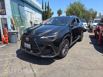 2024 Lexus NX 350h Premium