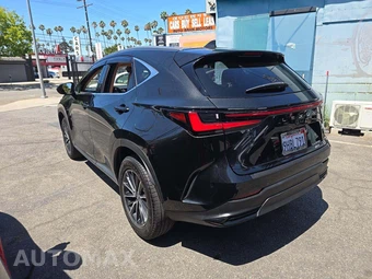 2024 Lexus NX 350h Premium – miniatura 2