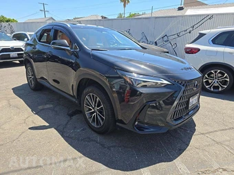 2024 Lexus NX 350h Premium – miniatura 4
