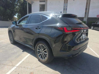 2024 Lexus NX 350h Premium – miniatura 2