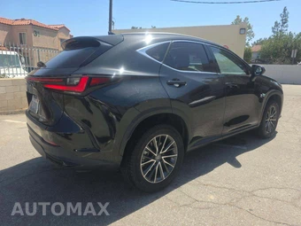 2024 Lexus NX 350h Premium – miniatura 3