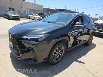 2024 Lexus NX 350h Premium