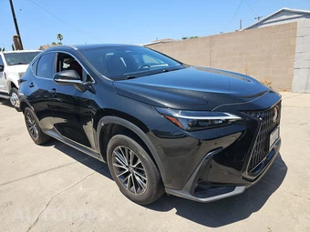 2024 Lexus NX 350h Premium - miniatura 3
