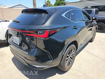 2024 Lexus NX 350h Premium - miniatura 4