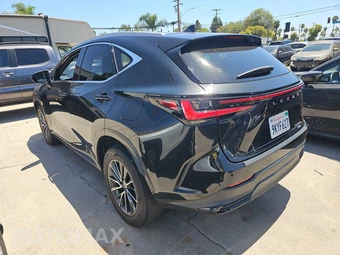 2024 Lexus NX 350h Premium - miniatura 6