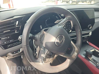 2024 Lexus RX 350 F SPORT Handling - miniatura 10