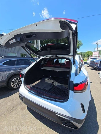 2024 Lexus RX 350 F SPORT Handling - miniatura 14