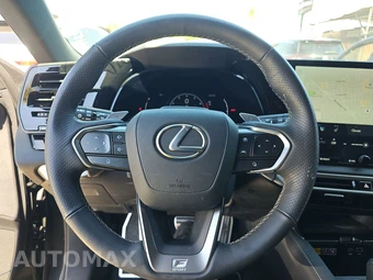 2024 Lexus RX 350 F SPORT Handling - miniatura 10