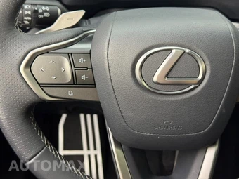 2024 Lexus RX 350 F SPORT Handling - miniatura 16