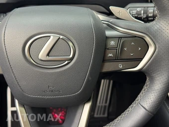 2024 Lexus RX 350 F SPORT Handling - miniatura 17