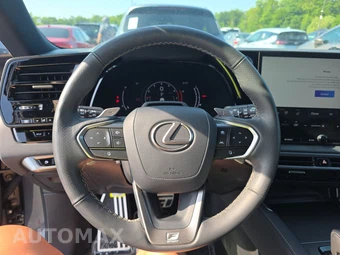 2024 Lexus RX 350 F SPORT Handling - miniatura 10