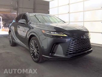 2024 Lexus RX 350 Luxury – miniatura 3