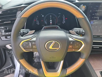 2024 Lexus RX 350 Luxury – miniatura 10