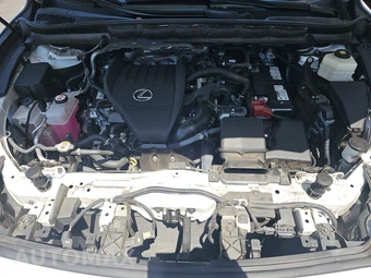 2024 Lexus RX 350 Luxury - miniatura 16