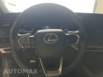 2024 Lexus RX 350 Luxury - miniatura 10