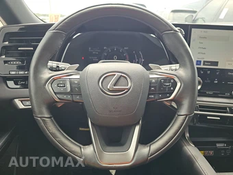 2024 Lexus RX 350 Premium - miniatura 10
