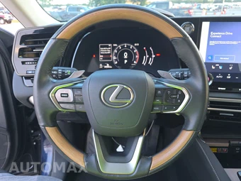 2024 Lexus RX 350 Premium – miniatura 10
