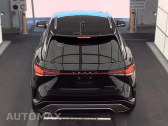 2024 Lexus RX 350 Premium – miniatura 6