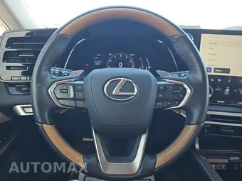 2024 Lexus RX 350 Premium – miniatura 10