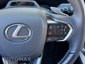 2024 Lexus RX 350 Premium - miniatura 21