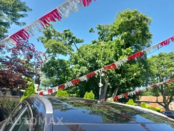 2024 Lexus RX 350 Premium – miniatura 12