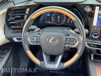 2024 Lexus RX 350 Premium - miniatura 19