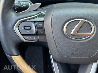 2024 Lexus RX 350 Premium - miniatura 20