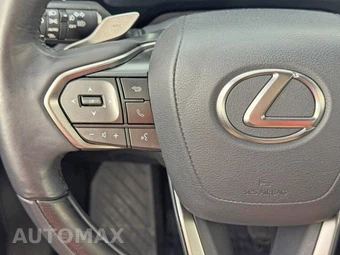 2024 Lexus RX 350 Premium - miniatura 18