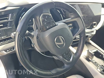 2024 Lexus RX 350 Premium – miniatura 10