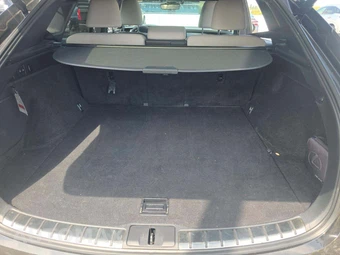 2024 Lexus RX 350 Premium Plus - miniatura 14
