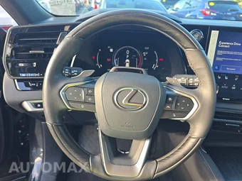 2024 Lexus RX 350 Premium Plus - miniatura 10