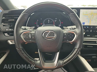 2024 Lexus RX 350 Premium Plus - miniatura 10