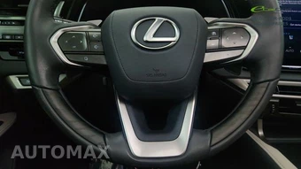 2024 Lexus RX 350 Premium Plus – miniatura 42