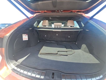 2024 Lexus RX 350 Premium Plus - miniatura 16