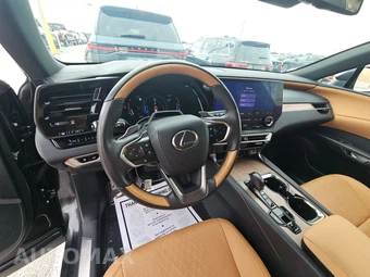 2024 Lexus RX 350 Premium Plus - miniatura 11