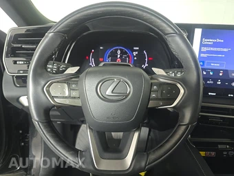 2024 Lexus RX 350 Premium Plus - miniatura 10