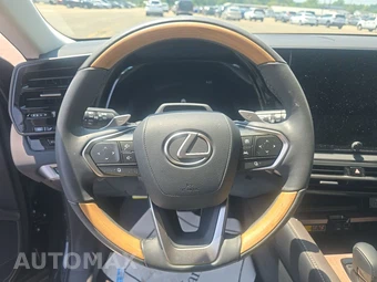 2024 Lexus RX 350 Premium Plus – miniatura 10