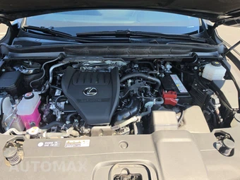 2024 Lexus RX 350 Premium Plus - miniatura 16