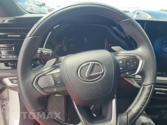 2024 Lexus RX 350h Premium Plus - miniatura 10