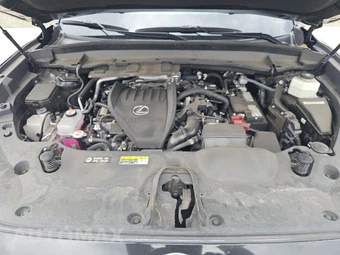2024 Lexus TX 350 – miniatura 15